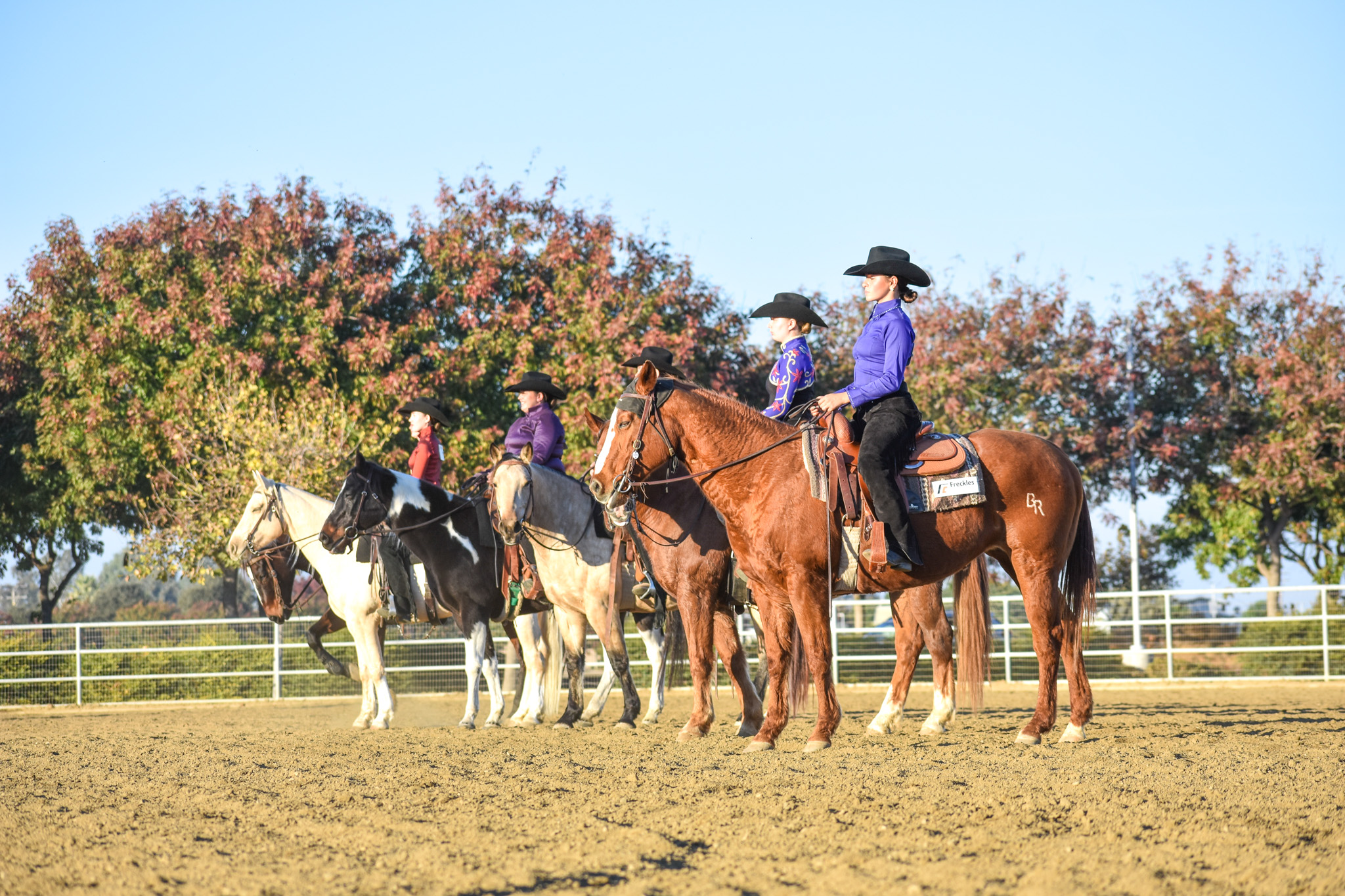 Tiger Equestrian Fall Re-cap
